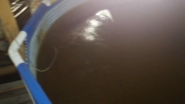 ОСЕТРОВОЕ УЗВ : МАЛЁК СТЕРБЕЛА. смотреть онлайн