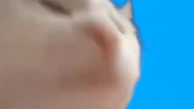 Милс кел и Велл - песня про битбокс