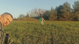 Дот в Заосье