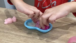 Полинка и сквиши