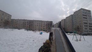 DOG VLOG / ХАСКИ с ДЕТЬМИ / Дружба верного пса и детишек #ХАСКИBOOM #Хаски