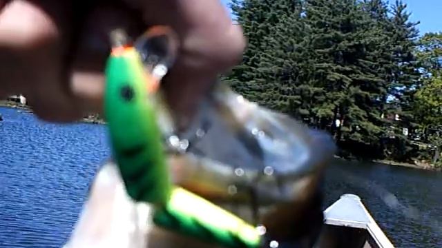 glenn catches a bass смотреть онлайн