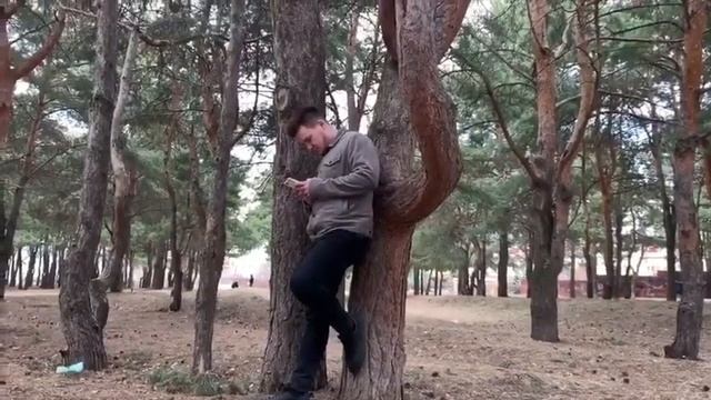 Шигъри мизгел! смотреть онлайн