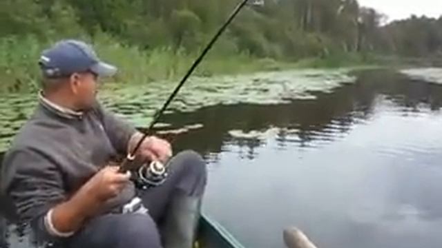Рыбалка ловля щуки на спининг