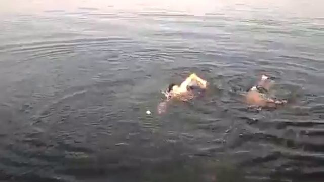 Типа прижки из прирса , ( Херсон - Лилея ) смотреть онлайн