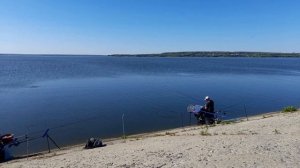 Фидер, стартовый закорм, чёткая техника