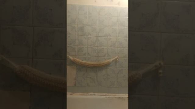 4 минутная мойка