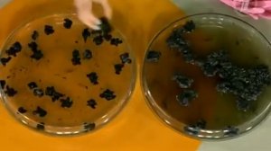 СуперЕДА для кожи без прыщей. Продукты помощники