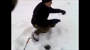 Зимняя ловля щуки на флажки .  не пруха 2017.