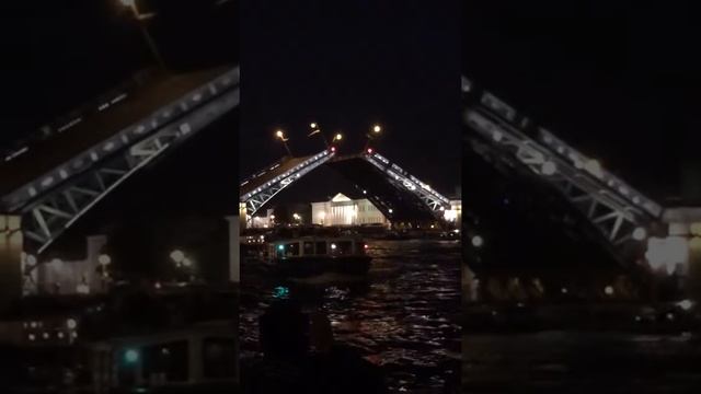 Питер разводные мосты