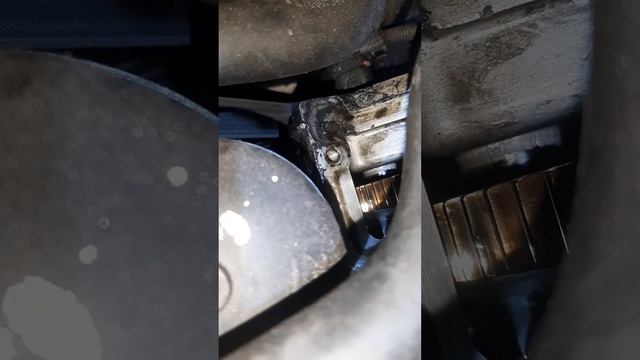 нью актион.дизель так выглядит двигатель при пробеге 170 000 км,когда замена масла каждые 7500 км смотреть онлайн