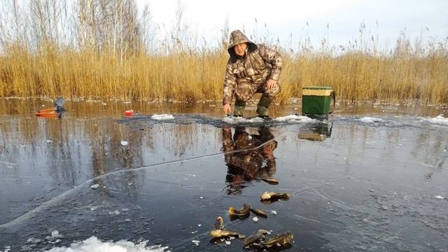 Зимняя Рыбалка 2019 смотреть онлайн