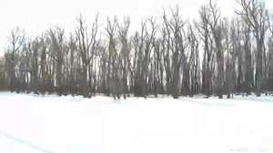 Рыбалка весной на Иртыше