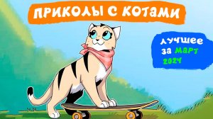 Приколы с котами. ЛУЧШЕЕ ЗА МАРТ 2024 | Мемозг