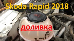 Skoda Rapid 2018.  Антифриз.