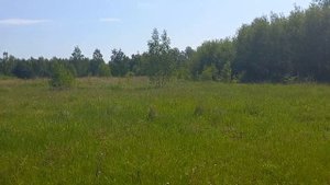 ДОЛГИНИНО 3 ИЮНЯ 2023 ГОД