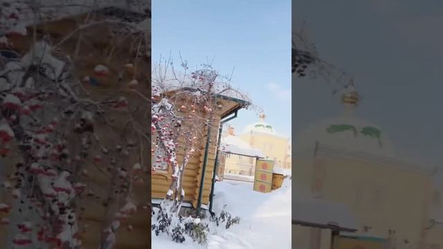 Морозная прогулка по Туган авылым (Казань, 2023)