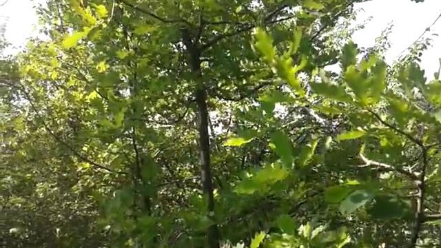 Чебоксары, на даче смотреть онлайн