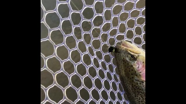 ВИП-зона(12.10.19) смотреть онлайн