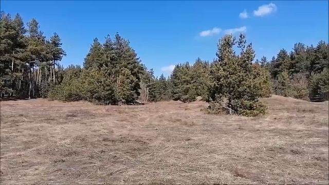 Прогулка, ВЕСНА, дорога к Шиловскому озёру, город Воронеж, 27.03.2024 года смотреть онлайн