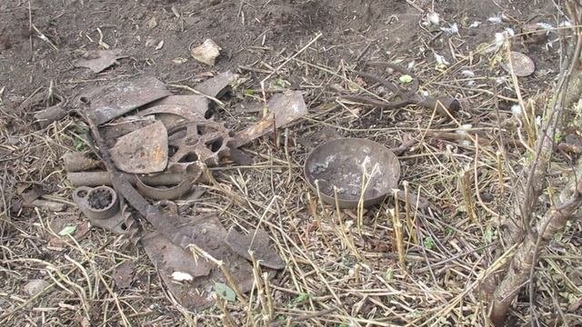 Огородно-археологические раскопки уже становятся осенней традицией.