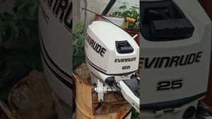 Evinrude 25 E-TEC