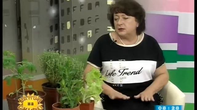 Галина Палічева про город на підвіконні смотреть онлайн