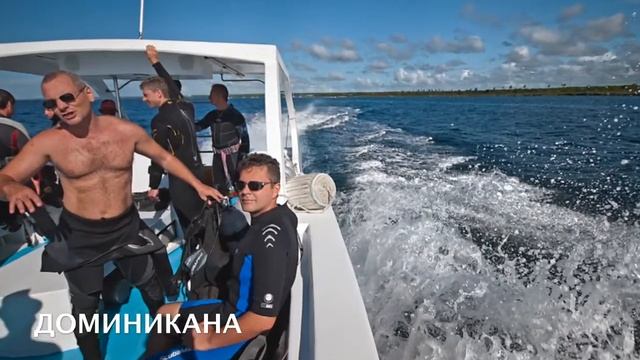 Бизнес орифлейм и путешествия смотреть онлайн