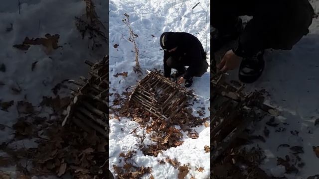 охота на фазана. смотреть онлайн