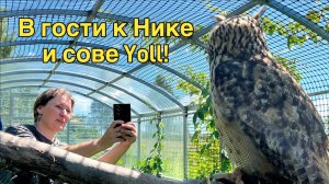 Ника Yoll ждёт меня! (А тебя - нет!😝)