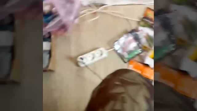 приманкина щуку судака готовы в бой