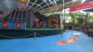 Таиланд.Бангкок.Сафари парк.Шоу орангутанов.