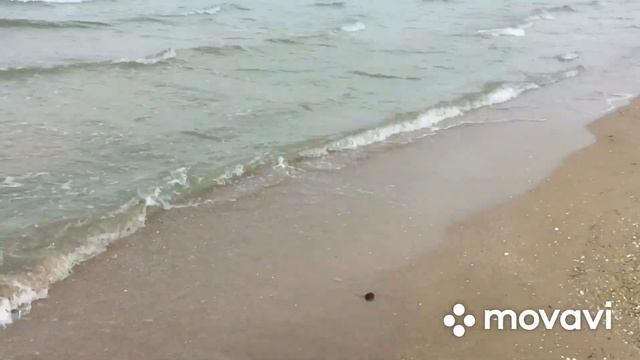 Анапа пляж ALEAN family сегодня 24 мая 2023 Anapa today Black sea Beach