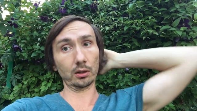 Срывы на сыроедении