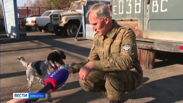 Служебные собаки Иркутской таможни помогли обнаружить почти 200 килограммов прекурсоров