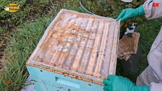 пчеловодство работы на пасеке настройка вентиляции проточная  вентиляция недостатки ульев из пены