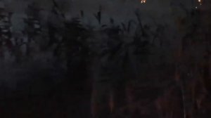 На рыбалке-Вячеслав Паршиков