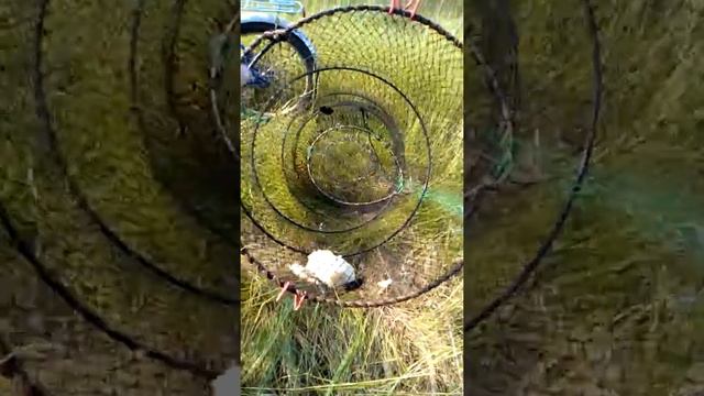 14 октября 2017 г. смотреть онлайн