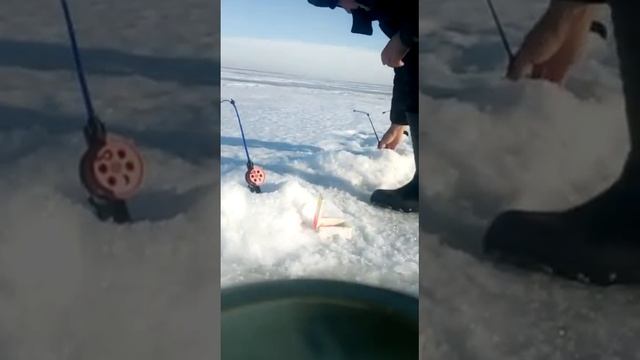 Корюшка в Питере. смотреть онлайн