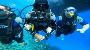 Дайвинг в Египте