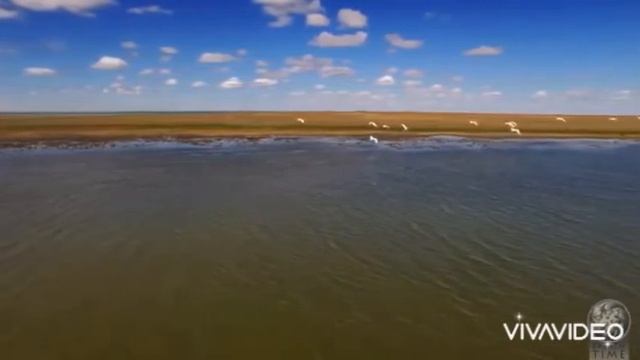 Онлайн-музейный урок «Эко-стратегия нашей жизни» смотреть онлайн