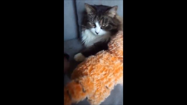 Вязаный тигренок смотреть онлайн