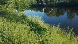 Кривой Рог Рыбалка река Саксагань.