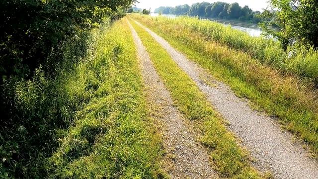 Окуни для кошки ! смотреть онлайн