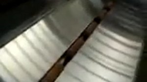 Линия по производству печенья и пряников. Оборудование из Китая!