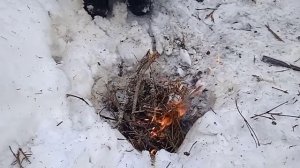 ВЫЖИВАНИЕ С ДРУГОМ В ЛЕСУ! 4 ЧАСТЬ! ЗАГОТОВИЛИ ДРОВА. НОВЫЙ ОПЕРАТОР ДАНИ.