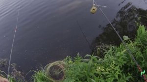 Карась дает Джазу
