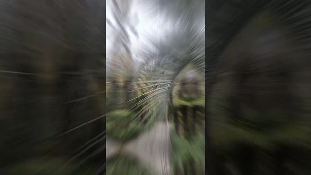 Абхазия бывает не только солнечной #гагра #абхазия #колонада #солнечнаяабхазия смотреть онлайн