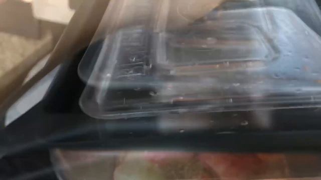 How To Strengthen Your Immune System / Как укрепить иммунитет и одновременно худеть!👍 смотреть онлайн