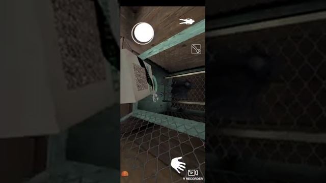 СЕКРЕТНЫЕ МЕСТА В ГРЕННИ🗿😉(SIKRET MEST THE GRENNY) смотреть онлайн